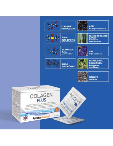 COLAGEN PLUS 30 SOBRES