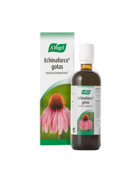 Producto web - 2023-09-01T184307.508