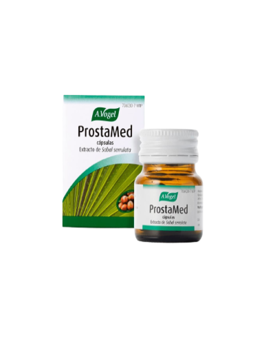 Producto web - 2023-10-04T183019.536